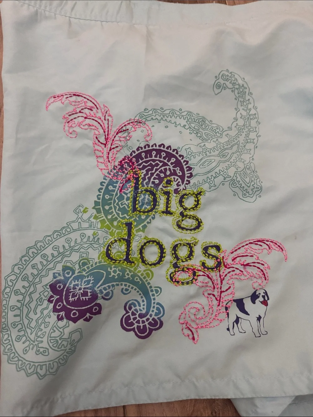 Big Dogs Light Blue Swim trunks Shorts with Paisley Accent L